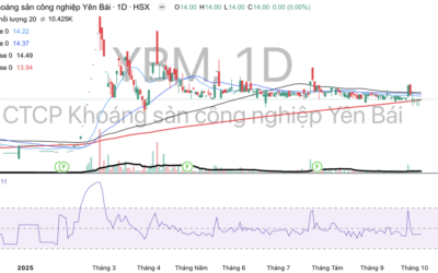 Cổ phiếu YBM: Thông tin, Đặc điểm tài chính, Phân tích kỹ thuật và Chiến lược đầu tư 2026