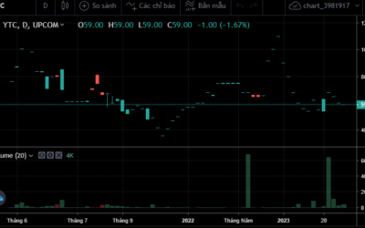 Cổ phiếu YTC: Thông tin niêm yết, Sức mạnh tài chính, Phân tích VSA và Chiến lược đầu tư