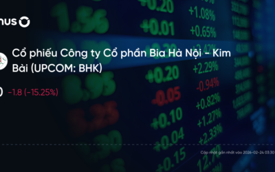 Cổ phiếu BHK: Thông tin, Chỉ số tài chính, Tiềm năng và Chiến lược đầu tư
