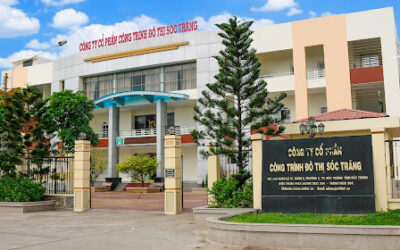 Cổ phiếu USD: Thông tin, Đặc điểm, Tiềm năng và Chiến lược đầu tư