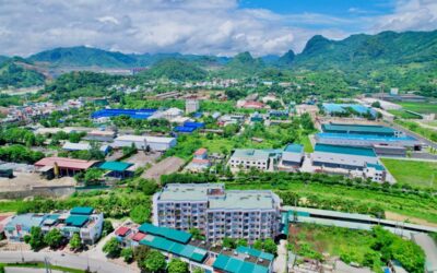 Cổ phiếu C22: Thông tin, Đặc điểm, Tiềm năng và Chiến lược đầu tư