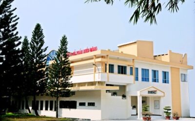 Cổ phiếu MDG: Thông tin, Đặc điểm, Sức khỏe tài chính và Chiến lược đầu tư