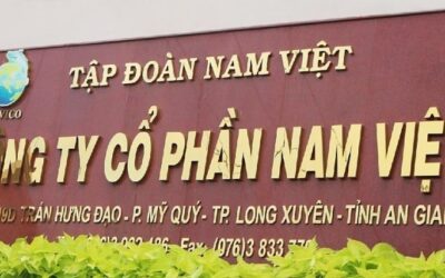 Chứng Khoán Casin - An Toàn Vốn & Gia Tăng Bền Vững 1 Cổ phiếu NAV: Thông tin, Chỉ số tài chính, Phân tích kỹ thuật và Chiến lược đầu tư 2026