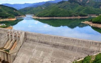 Cổ phiếu DSH: Thông tin, Chỉ số tài chính, Tiềm năng đầu tư và Phân tích kỹ thuật