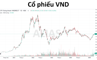 Định giá VND: Thông tin, Phương pháp, Phân tích và Chiến lược đầu tư