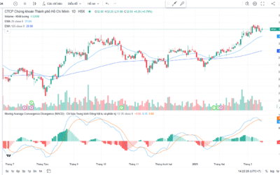 Giá cổ phiếu HCM qua các năm: Thông tin, Biến động, Chỉ số và Chiến lược đầu tư