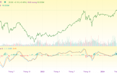 Giá cổ phiếu SHS qua các năm: Lịch sử biến động, Các mốc quan trọng và Phân tích xu hướng