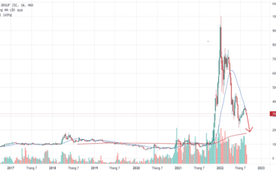 Nhận định cổ phiếu CEO 2026: Thông tin, Đặc điểm, Tiềm năng và Cách đầu tư