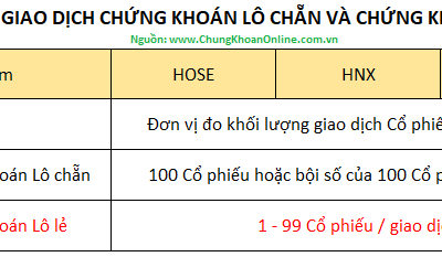 Sàn HoSE mua tối thiểu bao nhiêu cổ phiếu: Quy định, Lô giao dịch, Cách đặt lệnh và Lưu ý cho nhà đầu tư