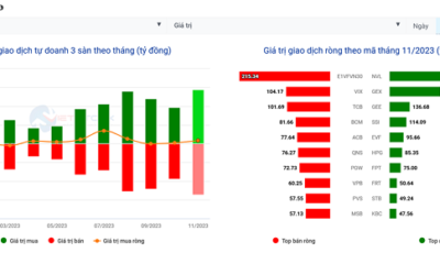 Thống kê giao dịch tổ chức trong nước: Thông tin, Phân loại, Tác động và Chiến lược đầu tư
