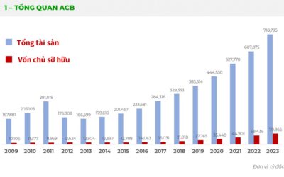 Tích sản cổ phiếu ACB: Thông tin, Đặc điểm, Lợi ích và Chiến lược đầu tư bền vững