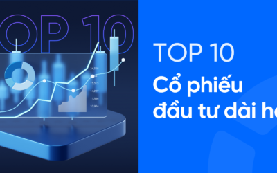 Top cổ phiếu đầu tư dài hạn: Thông tin, Tiêu chí, Danh sách và Chiến lược quản trị