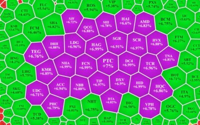 Việt Nam có bao nhiêu mã cổ phiếu: Thông tin, Đặc điểm, Phân loại và Cách tra cứu