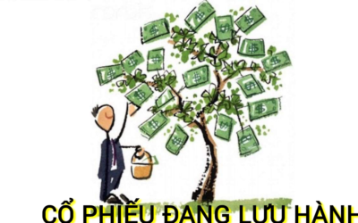 Xem số lượng cổ phiếu đang lưu hành ở đâu: Thông tin, Đặc điểm, Cách tra cứu và Ý nghĩa