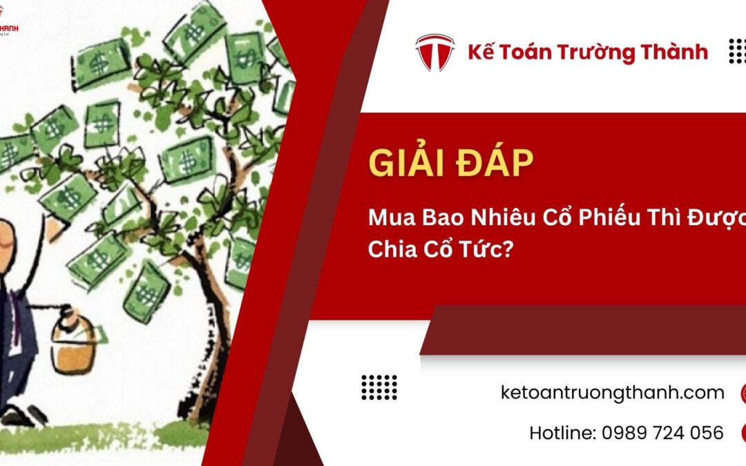 Nắm giữ bao nhiêu cổ phiếu thì được chia cổ tức: Quy định, Điều kiện và Cách thức nhận