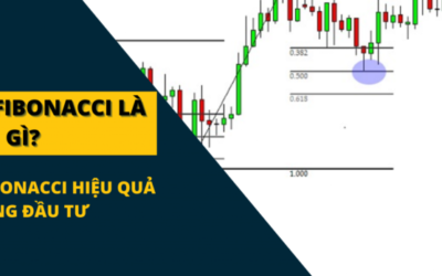 Fibo trong chứng khoán: Khái niệm, Tỷ lệ vàng, Các loại công cụ và Chiến lược giao dịch
