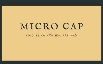 Micro cap: Thông tin, Đặc điểm, Tiềm năng và Chiến lược đầu tư