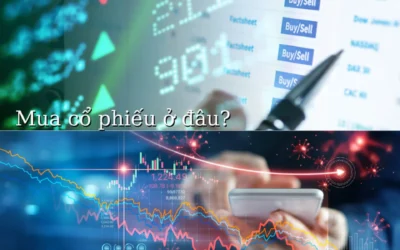 Mua chứng khoán ở đâu: Thông tin, Địa điểm, Tiêu chí và Quy trình thực hiện