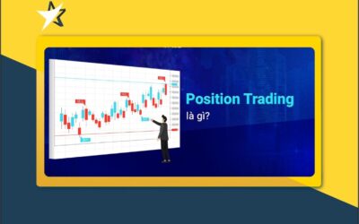 Position trong chứng khoán: Khái niệm, Phân loại, Chiến lược và Quản trị rủi ro