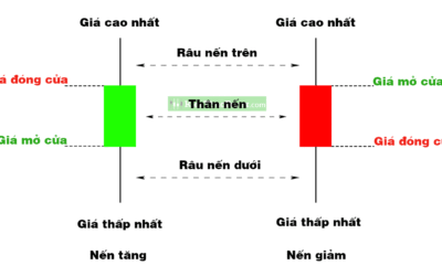 Râu nến biểu hiện điều gì: Thông tin, Đặc điểm, Công dụng và Cách giao dịch